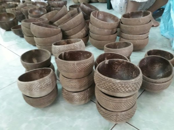 Natural Coconut Bowls